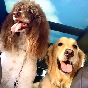 Meet your Posher, Jen